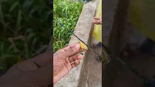 അവൻ മാര്  🫶😩 #best  #frog #lurefishing