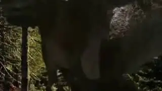 Walking with dinosaurs 1999 - t rex roar