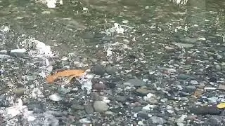 kalipur beach