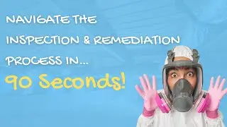 Learn to navigate the inspection and mold remediation process in 90 seconds!