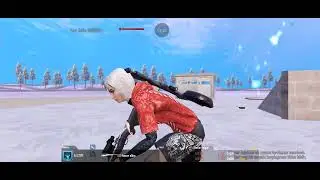  M24vs gelin