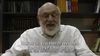 Various Rabbanim Discuss Tekhelet