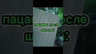 все так гуляют? #пашапэл #паша