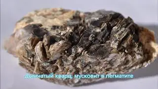 НАЙДИ ЖИЛУ ОБРАЗЦЫ САЙТА PERELIVT