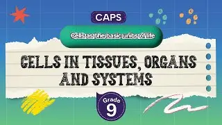 [GRADE 9] Cells in tissues, organs and systems