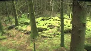 The Burren Hut Circles West Cavan Ireland
