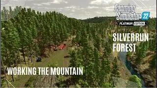 Working on the Mountain #21 FS22 Platinum Edition