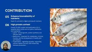 Fishery Waste to Premium Liquid Organic Fertilizer