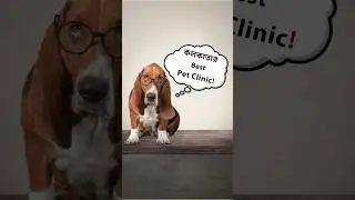 সবচেয়ে ভালো Pet Hospital | Veterinary Clinic in Kolkata-Chinsurah #shorts #antarikvetclinic