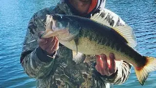 Catching Big Winter Bass! On The Chatter Bait!