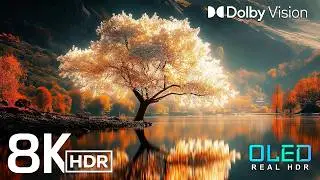 UNBELIEVABLE VISUALS | 8K HDR Dolby Vision™ (120FPS | OLED/QLED TV)