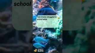 A fact from the life of Tom Cruise.