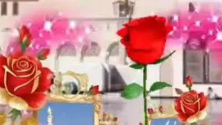 assalamo alaikum good night friends
