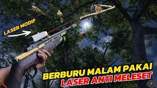 Panen Buruan Malam Hari Anti Melset!! Berburu Dengan Laser Rakitan Di Hutan Angker Hasil Melimpah