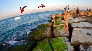 This Is The CRAZIEST Fish Feeding FRENZY I&rsquo;ve Ever Seen! Absolute Chaos!