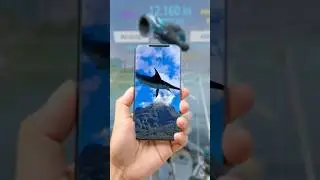 7 more EPIC class fish from real vr fishing!