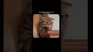 Reality💯😢2026 whatsapp status😢#shorts#trending#2026#cat#sad#feeling#bgm#tamil#life#status#crush#love