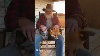 Old Cowboy Shares a Quiet Moment With His Dog and a Red Fox 🦊🐕❤️ | Pure Love in One Frame