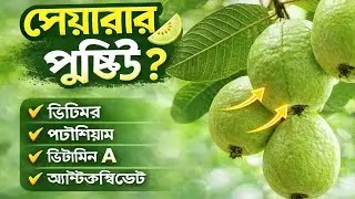 পেয়ারা থেকে কি কি পুষ্টি পাওয়া যায়? Guava Nutrition Benefits in Bangla |পেয়ারার উপকারিতা