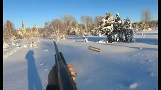 Охота на боровую дичь в крещенские морозы 21.01.2026г.