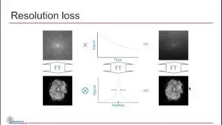 Maxim Zaitsev: EPI Artifacts