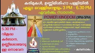 വിശുദ്ധ കുർബാന | afternoon prayer | adoration | way of cross | rosary of divine mercy | passion