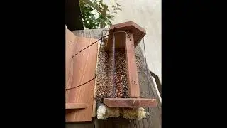 Solution4Patio Homes Garden USA Cedar Bird Feeder Wildbird Essentials Handmade Wooden Outdoor Ranc
