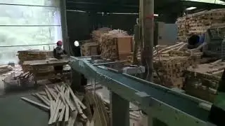 Optimal cross cut off machine