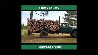 Pulpwood in the Early Paper Industry
