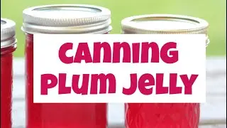 Canning Plum Jelly