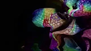 XO - Divine Disaster (feat James Chatburn)