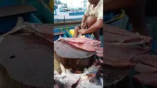 How this young man fillets fresh tuna on the beach #fish #food #fyp #knifeskills #satisfying