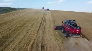 Massey Ferguson - Beta 7370