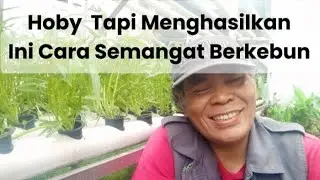 EPS.148. Hobi bertanam menghasilan cuan cara semangat berkebun #berkebun #petiksayur #garden 