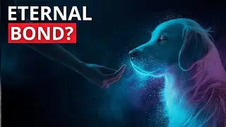 7 Signs Your Dog Will Never Forget You (Even After Death)