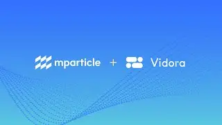 mParticle + Vidora Integration
