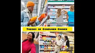Ch 22 Micro: Theory of Consumer Choice