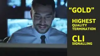 IDT Express. Choose voice termination quality and DIDs at market-leading rates