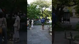 Kamakura Hasedera Hydrangea Ajisai(4)