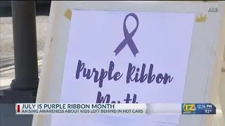 Purple Ribbon Month raises awareness about kids left in hot cars
