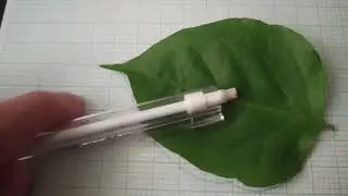 MAT575 Assessment 2 | Least Square Method: Leaf Perimeter (CDCS276&nbsp;Group&nbsp;1)