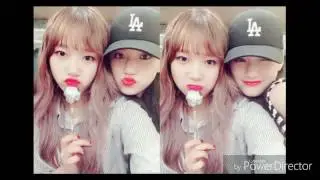 도댕은 사랑입니다♥ (사랑해 기억해, 벚꽃이지면)