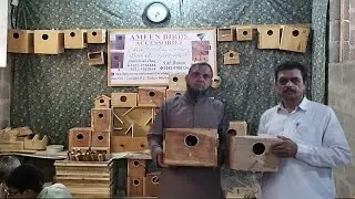 Budgie box|Lovebirds box|Finch box|Cocktail box|Java box|Ringneck box| Grey parrot box|Zunair Birds