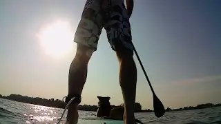 what sup dog
