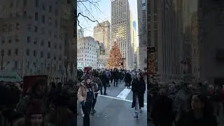Goodbye Rockefeller Christmas Tree ❤️