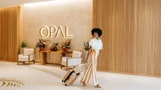 THE OPAL COLLECTION