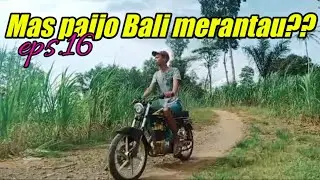 Mas paijo bali merantau??  | eps.16