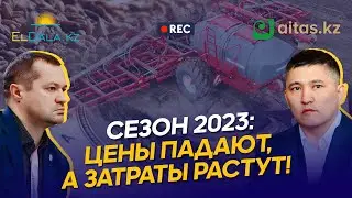 Пшеница будет по 85 тыс? Затраты на гектар, ограничения импорта и секреты дифпосева | Алдажаров