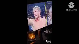 Sports Fans Breaking TVs After Losses