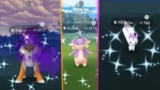 NEW SEASON OF POKEMON IS HERE! Shiny Audino Nest Found / Shiny Pachirisu Hunt & Shadow Raikou Raids!